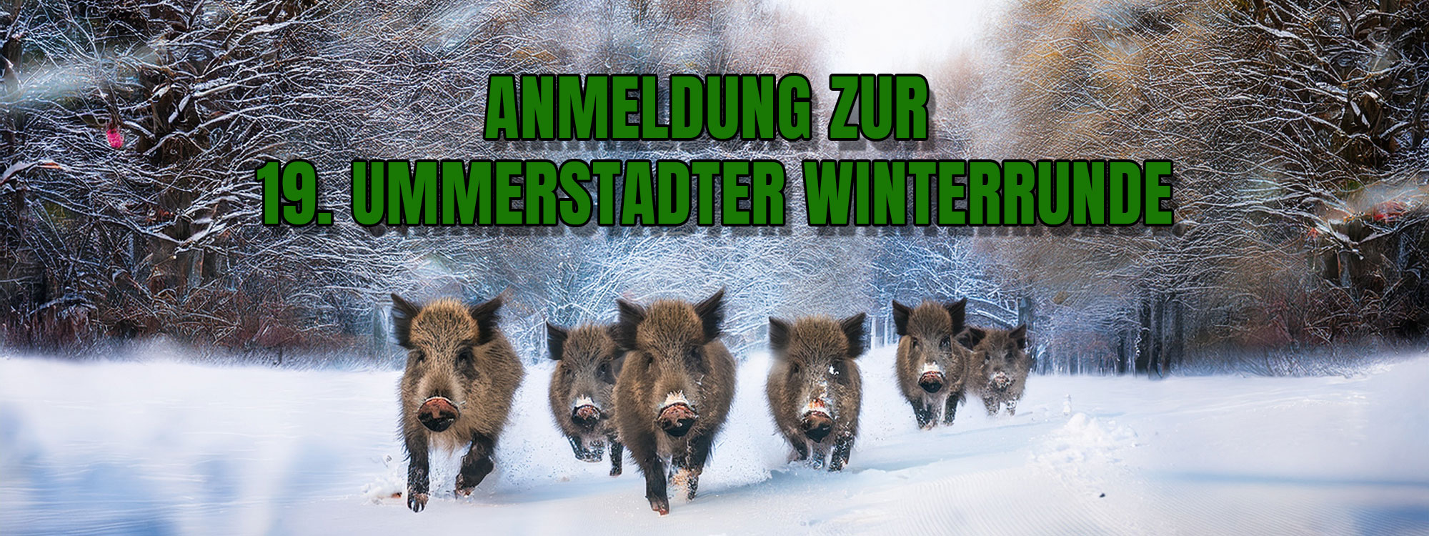 Anmeldung 19. Ummerstadter Winterrunde